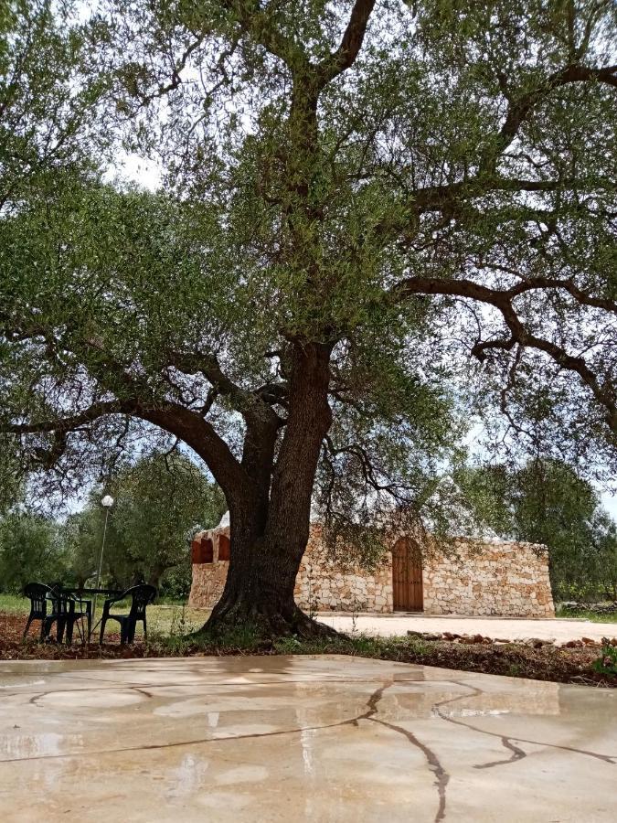 Trulli Monte Madre Villa San Vito dei Normanni Ngoại thất bức ảnh